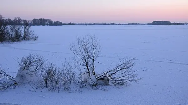 505043 - Flooded and frozen banks of Elbe River, Flusslandschaft Elbe Biosphere Reserve, Germany