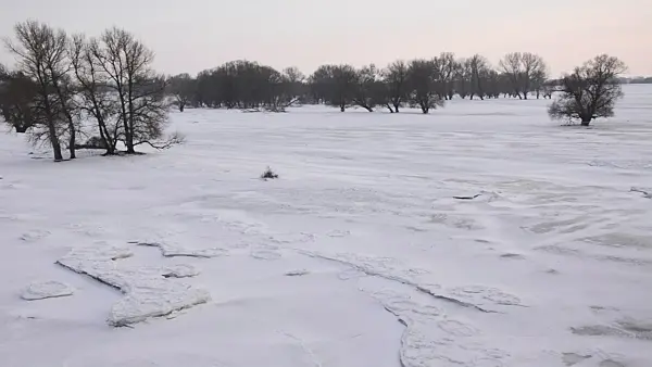 505057 - Flooded and frozen banks of Elbe River, Flusslandschaft Elbe Biosphere Reserve, Germany