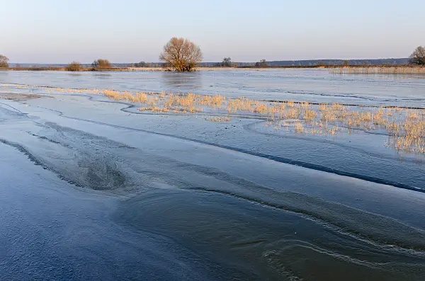 505002 - Flooded and frozen polder meadow, Lower Oder Valley National Park, Germany