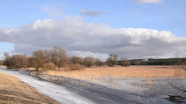 505139 - Flooded and frozen polder meadow, Lower Oder Valley National Park, Germany