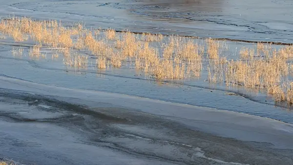 505006 - Flooded and frozen polder meadows, Lower Oder Valley National Park, Germany
