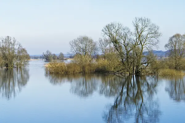 387029 - Flooded polder meadows, Lower Oder Valley National Park, Germany