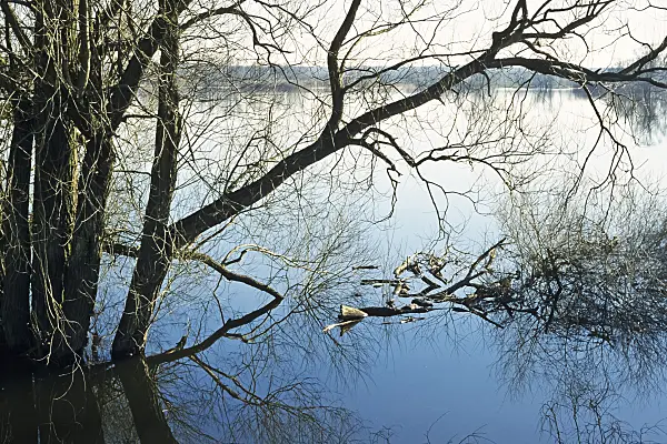 387030 - Flooded polder meadows, Lower Oder Valley National Park, Germany