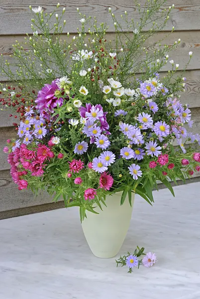 518073 - Flower bouquet with asters