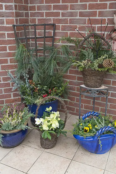 528004 - Flower tubs with winter decoration