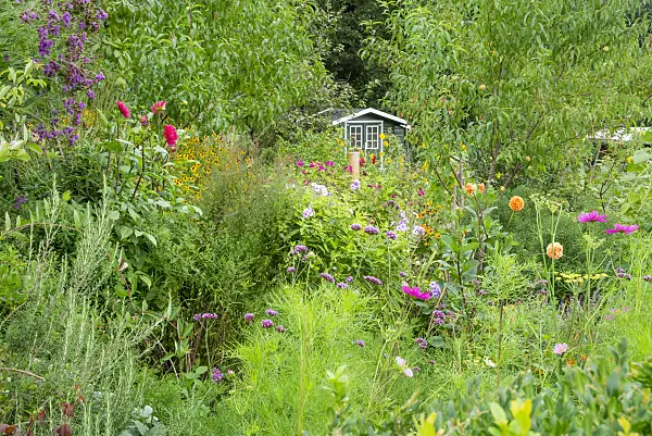 625014 - Flowering perennial garden with garden house