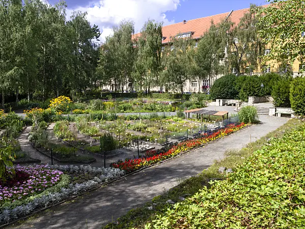 463141 - Flowering school garden in sunny weather at Brixplatz, Berlin, Germany