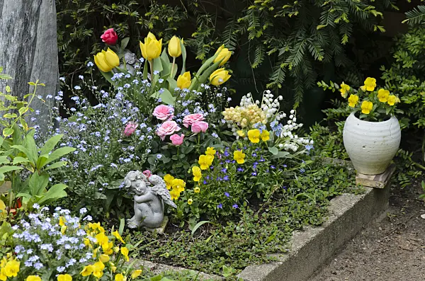 544069 - Forget-me-nots (Myosotis), tulips (Tulipa), roses (Rosa) and violets (Viola)
