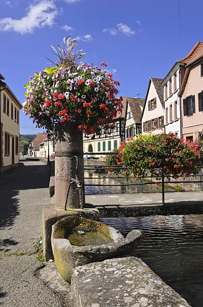 548075 - Fountain at the Lauter, Wissembourg, France