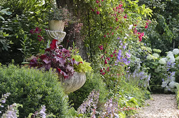570087 - Fountain with alumroots (Heuchera) and plantain lilies (Hosta)