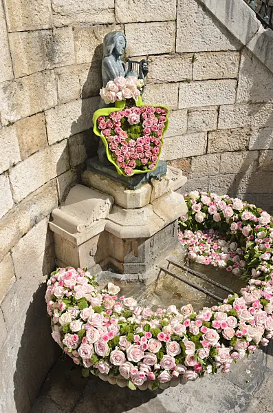 533015 - Fountain with wreath of roses