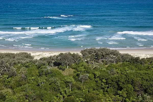 455102 - Frenchmans Bay, Point Lookout, North Stradbroke Island, Australia