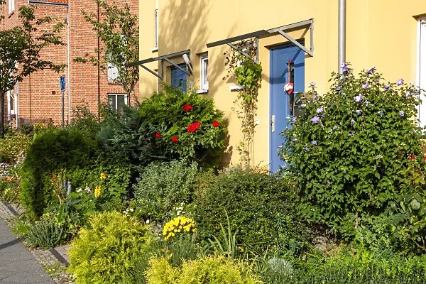 464042 - Front garden of a terraced housing estate