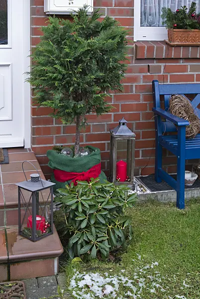 527018 - Front garden with Christmas decoration