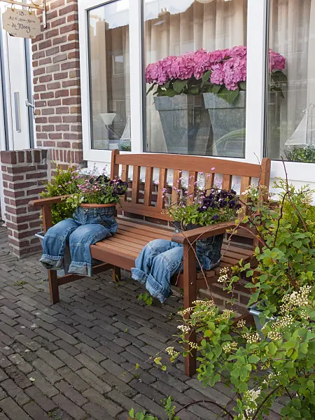401008 - Front garden with hydrangeas and decorated flower pots