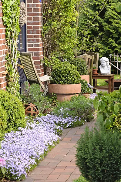 484085 - Front garden with seating area and flower tubs