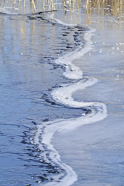529006 - Frozen lake