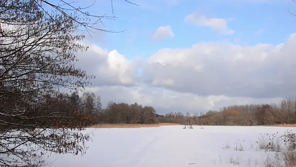 505019 - Frozen lake, Karower Seen Nature Reserve, Berlin, Germany