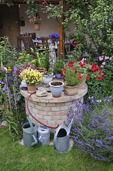 473240 - Fuchsia (Fuchsia), Nemesia, petunia (Petunia), lobelia (Lobelia) and lavender (Lavandula) in a backyard garden