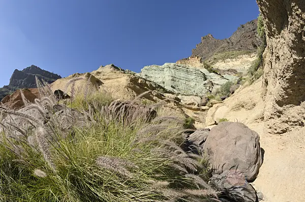 564084 - Fuente de los Azulejos, Gran Canaria, Spain