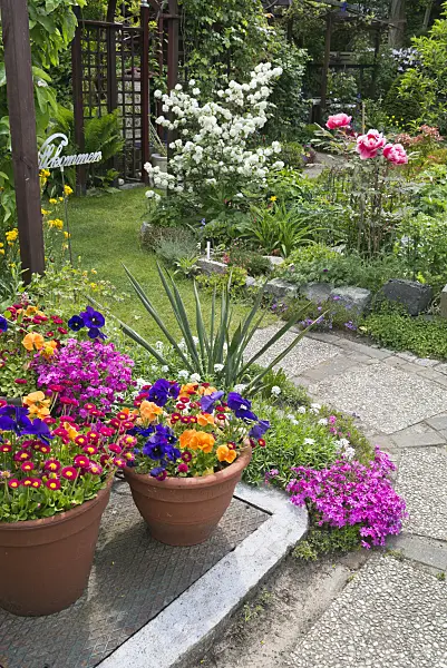 544163 - Gänseblümchen (Bellis perennis), Veilchen (Viola) und Moosphlox (Phlox subulata) in einem Staudengarten