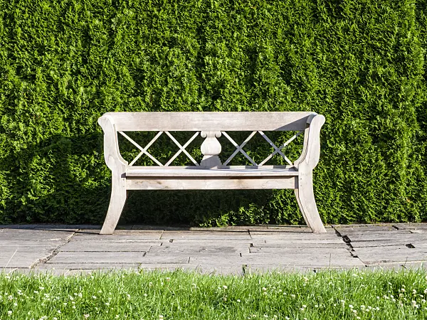 462104 - Garden bench