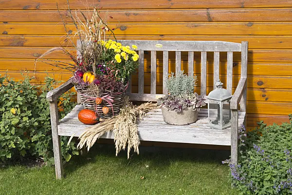 549167 - Garden bench with autumn decoration