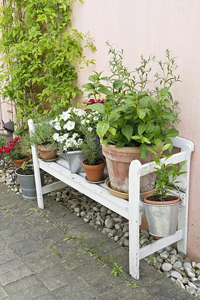 545112 - Garden bench with flower pots