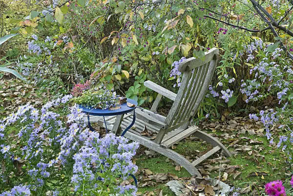 609047 - Garden chair in a perennial garden