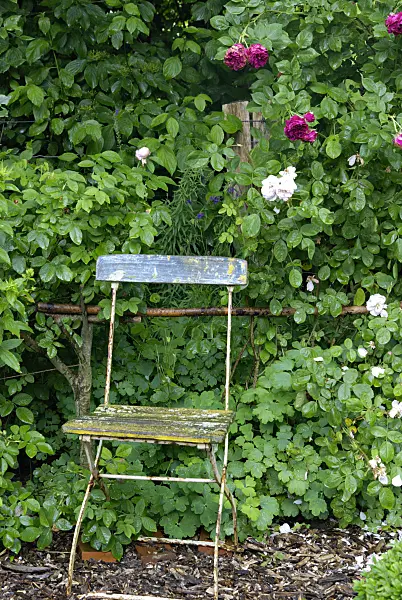 452154 - Garden chair with roses