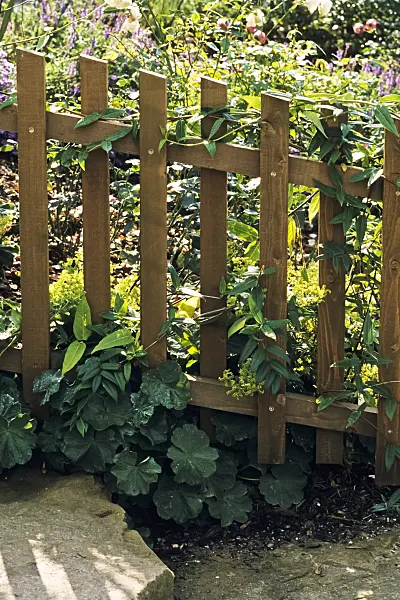 395025 - Garden fence