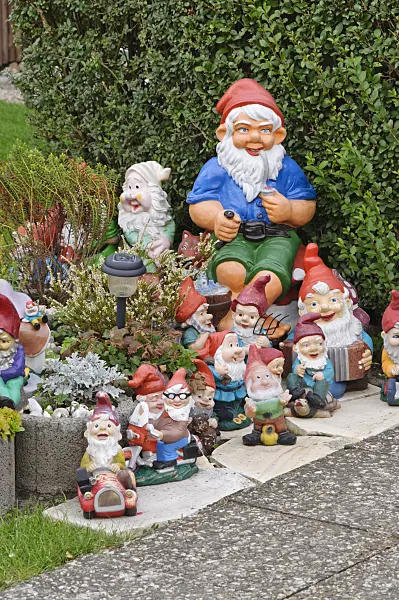 477004 - Garden gnomes in different sizes on a terrace in front of a hedge