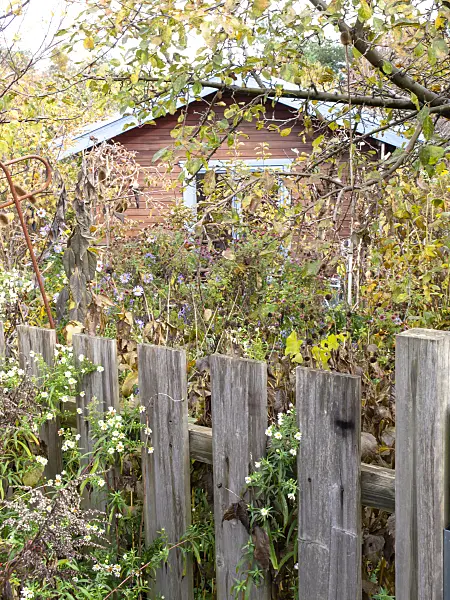 478052 - Garden house in a natural garden