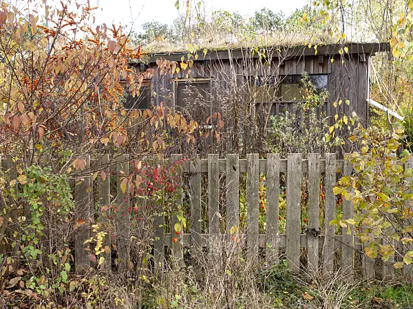 478058 - Garden house in a natural garden