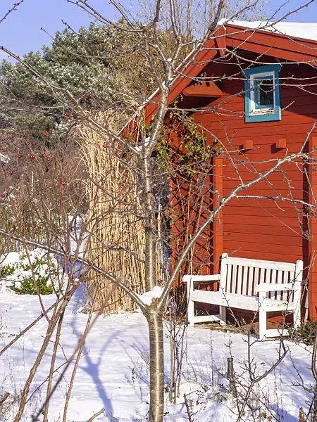 503008 - Garden house in a snowy natural garden