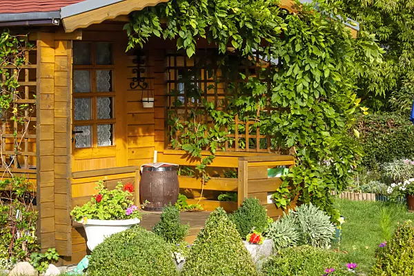 464044 - Garden house with climbing plants