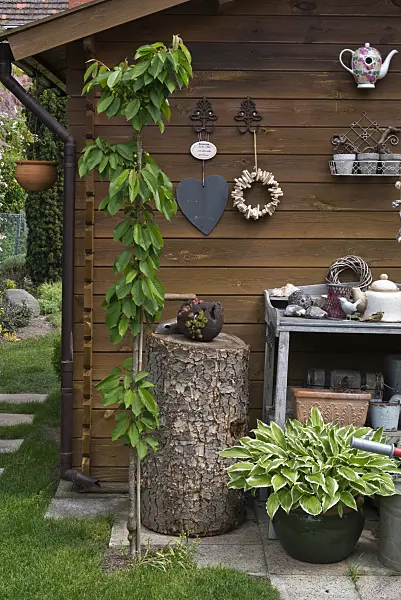 556136 - Garden house with decoration