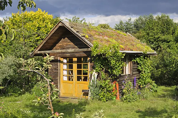 473294 - Garden house with green roof in a natural garden