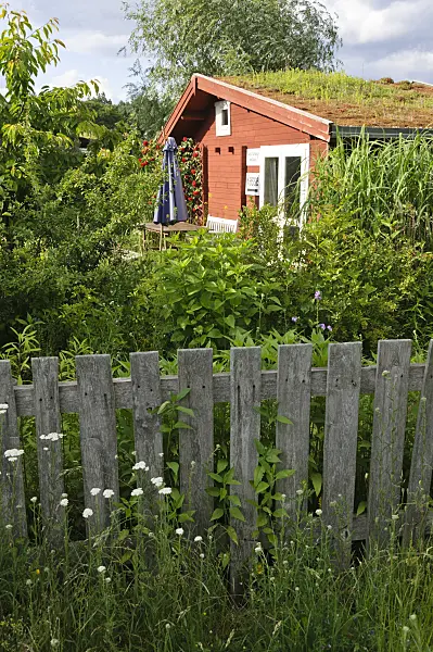 473297 - Garden house with green roof in a natural garden
