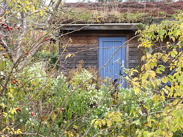 478054 - Garden house with green roof in a natural garden