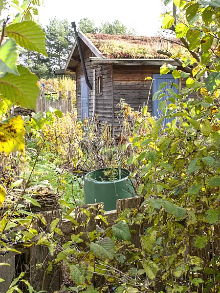 478055 - Garden house with green roof in a natural garden
