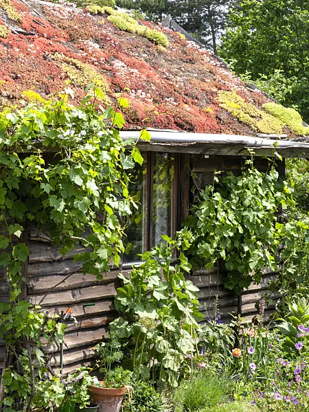 486237 - Garden house with green roof in a natural garden