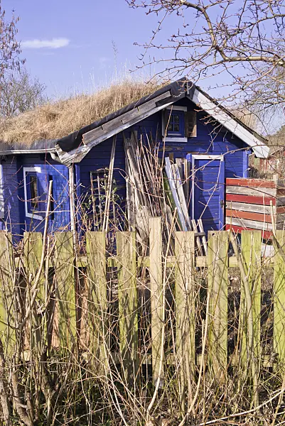 578037 - Garden house with green roof in a natural garden