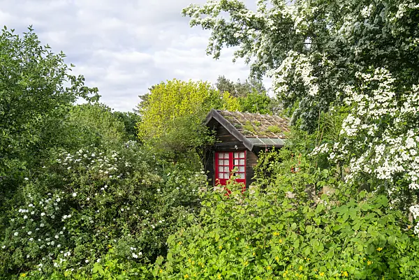 625078 - Garden house with green roof in a natural garden