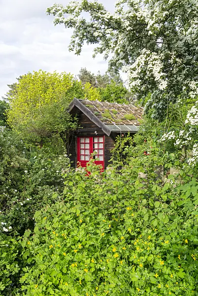 625079 - Garden house with green roof in a natural garden