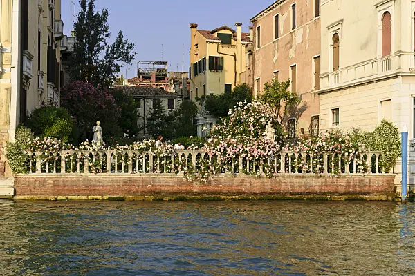 568086 - Garden of the Palazzo Malipiero Venice, Venice, Italy