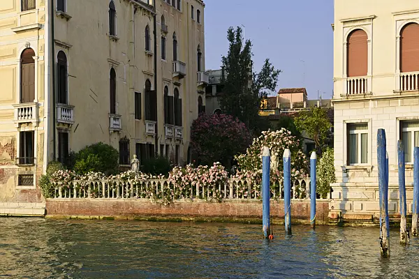 568087 - Garden of the Palazzo Malipiero Venice, Venice, Italy