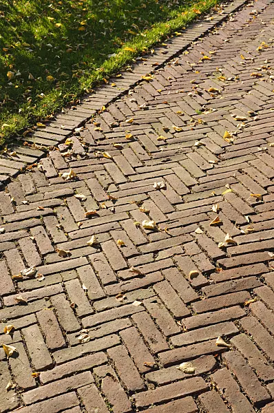 476195 - Garden path with bricks, laid in herringbone pattern
