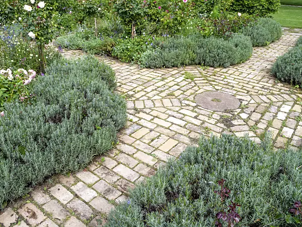 463115 - Garden pathways