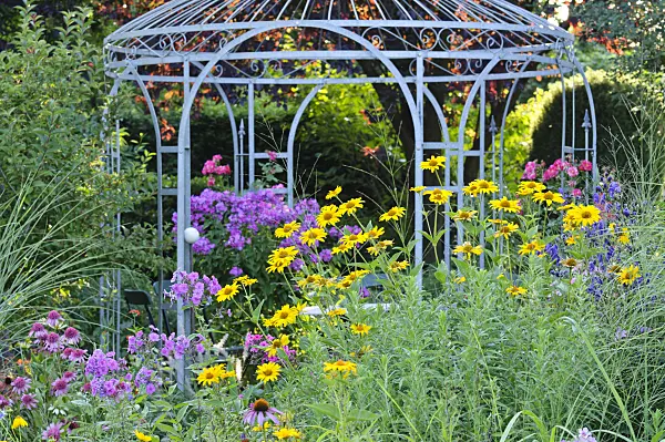 474469 - Garden phlox (Phlox paniculata) and false sunflower (Heliopsis helianthoides) in front of a garden pavilion